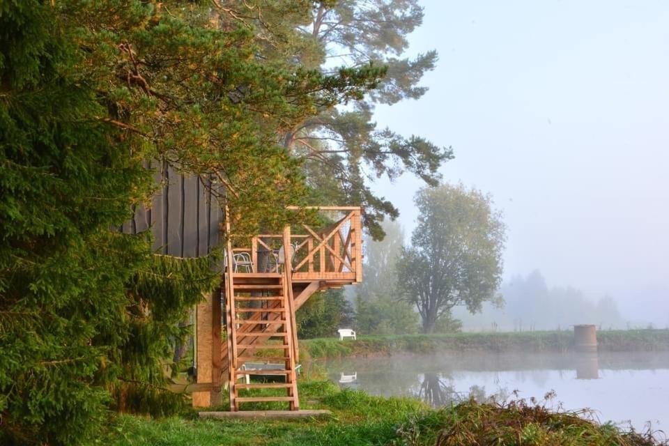 Dragon House на дереве — 3