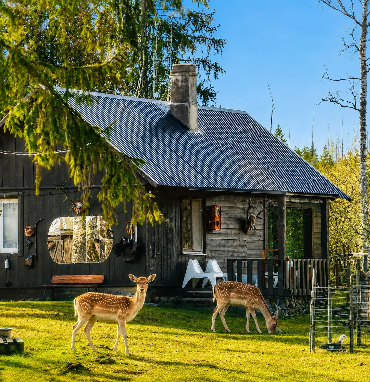 Lake Deer Park Retreat with Hot Tub & Sauna