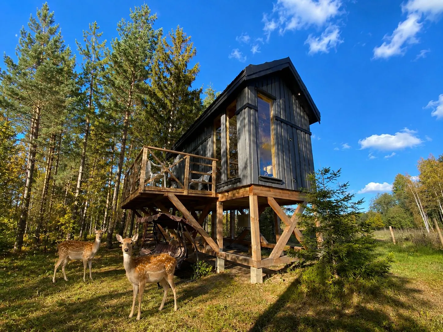 Viking Treehouse with Hot Tub, Sauna, Lake & Deer Park